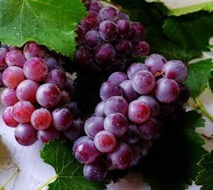 Red Seedless Grapes 1kg