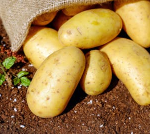 Russet Potatoes 10lb
